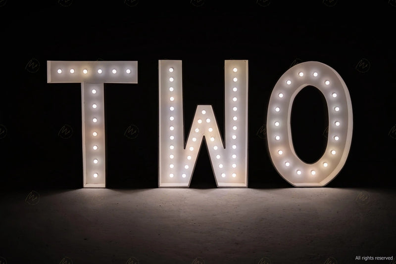 Large Marquee Letters - TWO